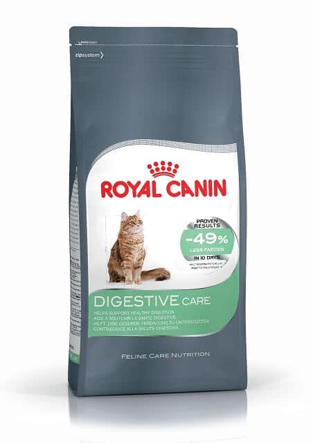 Berat Ideal Kucing